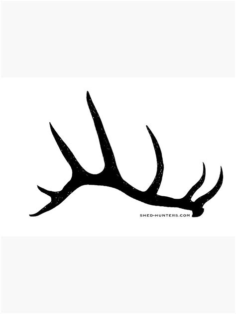 Elk Antler Shed Hunters Art Print For Sale By Shedhunters Redbubble