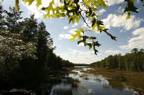 Millions of people visit N.J. state parks. Here are the most popular ...