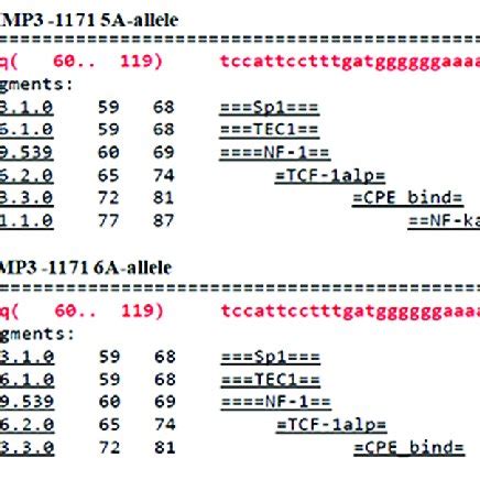 Pdf Synergistic Effect Of Collagenase Mmp Stromelysin Mmp