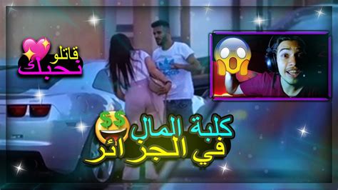 Reaction🤣كلبة المال في الجزائر Youtube