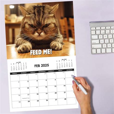 Vicnic Calendario Dei Gatti Infuriati Regali A Tema Gatto