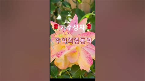 🌹가수성자🌹추억의영동역 Youtube