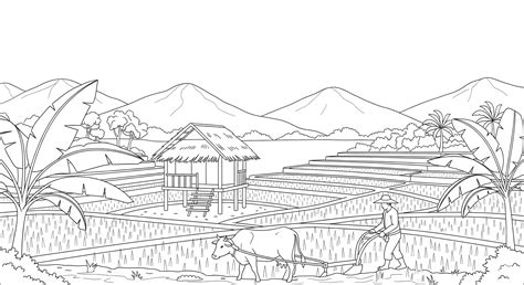 gambar mewarnai pemandangan alam sawah gunung  landscape nature
