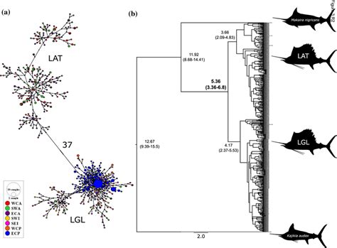a TCS haplotype network of the mitochondrial DNA control region of ... 