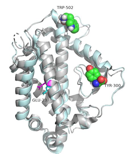 65 Enzyme And Protein Regulation Biology Libretexts