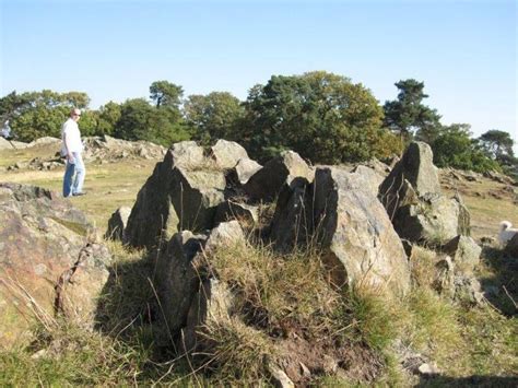 Dog walk at Bradgate Park · Leicestershire · Walkiees