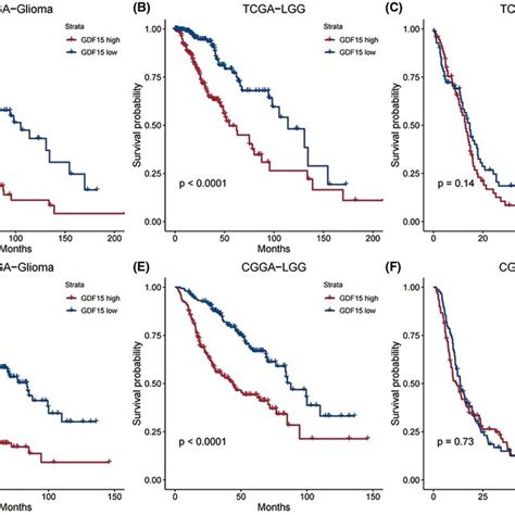 Expression And Clinical Relevance Of GDF15 In Glioma A B The