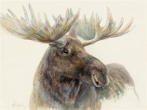 Watercolor Wildlife at PaintingValley.com | Explore collection of ...