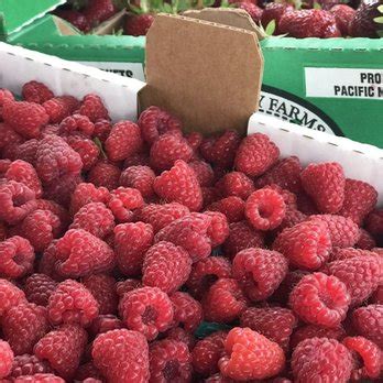 Spooner Berry Farms Seattle Updated June 2026 11 Photos 7726