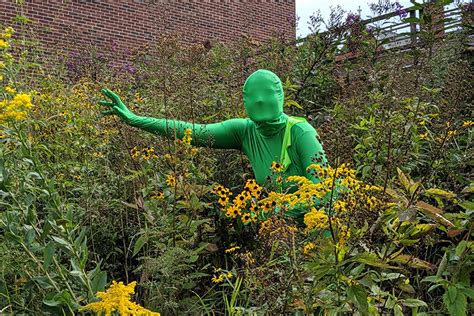 Sustainability initiative adorns campus in green - UWM REPORT