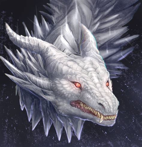 White Dragon Dragones Mitologicos Dragones Obras De Arte De Drag N