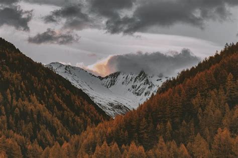 Yellow Leaves Mountains Under A Cloudy Sky Free Image By Rawpixel