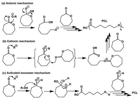 Polymers | Free Full-Text | Recent Advances in Lignocellulose-Based ... 