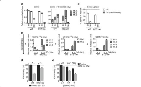 Bortezomib Resistant Cells Have A Higher Activity Of The Serine