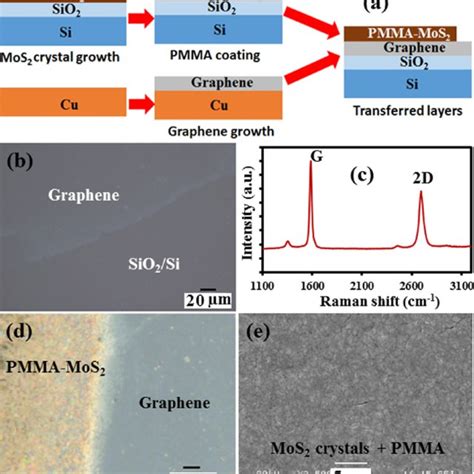 A Schematic Diagram Of The Fabricated PMMA MoS 2 Graphene