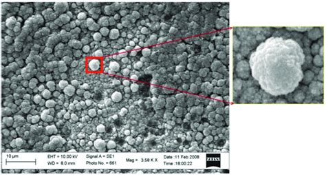 SEM Micrograph Of Tungsten Sample Surface Irradiated With Plasma In The