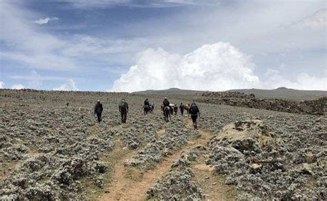 3 Days Bale Mountains Trekking - Freeland Tours and Travel