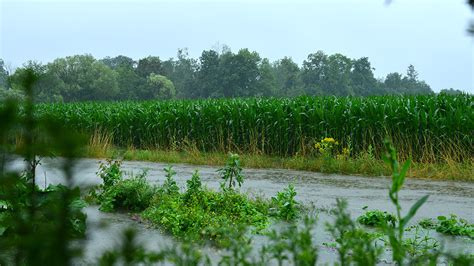 The Magazine Of Grain Farmers Of Ontario Ontario Grain Farmer