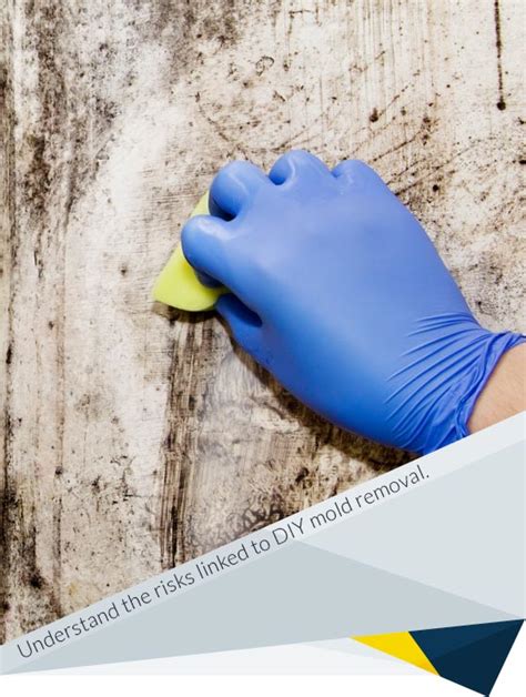 Why DIY Mold Remediation Can Be Dangerous | FDP Mold Remediation