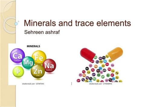 Minerals And Trace Elementsppt