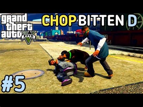 Chop Bitten D In Gold Medal Walkthrough Gta V Gameplay Youtube