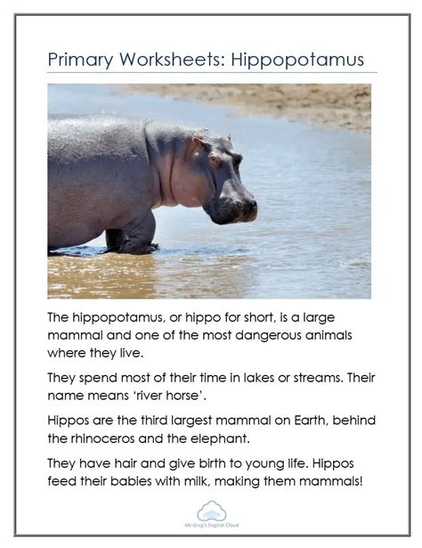 Primary Worksheets Hippopotamus Mr Gregs English Cloud