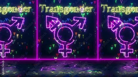 Neon Transgender Sign Animation On Black Background Transgender Sexual