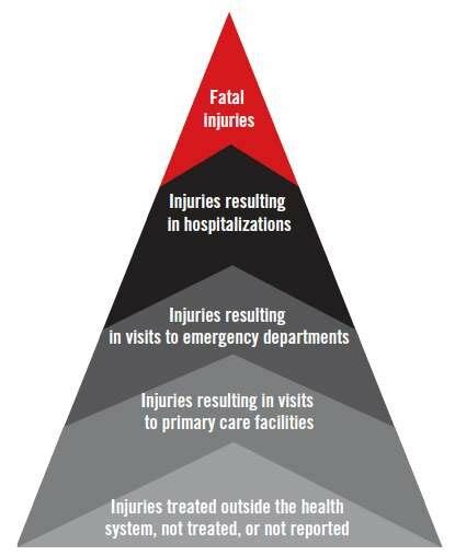 The Injury Pyramid World Health Organization 2010 Download