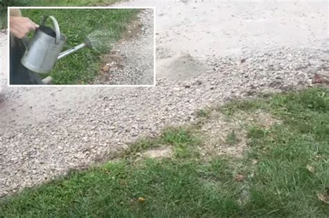 I transformed my gravel driveway using a $1 item - it adds strength and ...