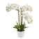 Bayou Breeze Real Touch Orchid Floral Arrangements And Centerpieces