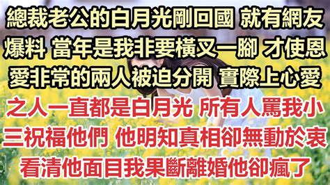 總裁老公的白月光剛回國，就有網友爆料，當年是我非要橫叉一腳，才使恩愛非常的兩人被迫分開，實際上心愛之人一直都是白月光，所有人罵我小三祝福他們