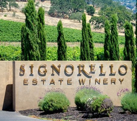 Napa Valley winery on Silverado Trail | Signorello Estate | Limited ...