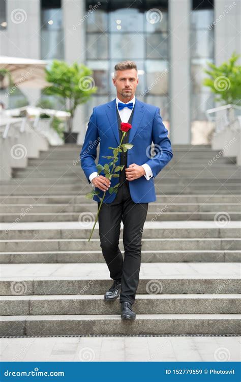 Romantic Gentleman Man Mature Confident Macho With Romantic Gift Handsome Guy Rose Flower