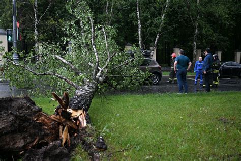 Moscow Public Utilities Workers Began To Eliminate The Consequences Of