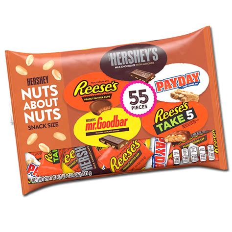 Hershey's Nuts About Nuts Mix Bag 1lb - 6ct – I Got Your Candy