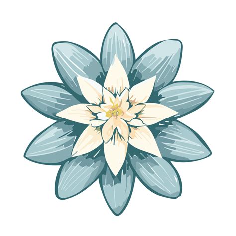 Edelweiss Floweredelweiss Clipart Ai Generative 30739702 Png