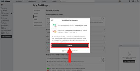 How To Get Voice Chat in Roblox: Step-by-Step Pictures