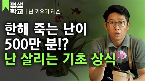 Ebs평생학교 1강 우리 집 난은 왜 다 죽을까│이청의 배워서 바로 써먹는 난 키우기 Youtube