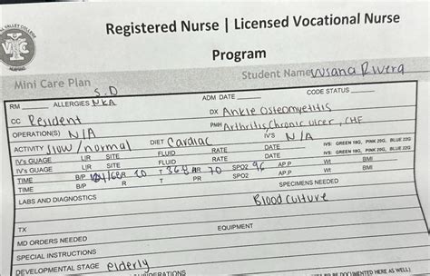 Solved Registered Nurse | ﻿Licensed Vocational | Chegg.com