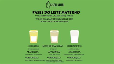 Fases Do Leite Materno Giseli Nutricionista