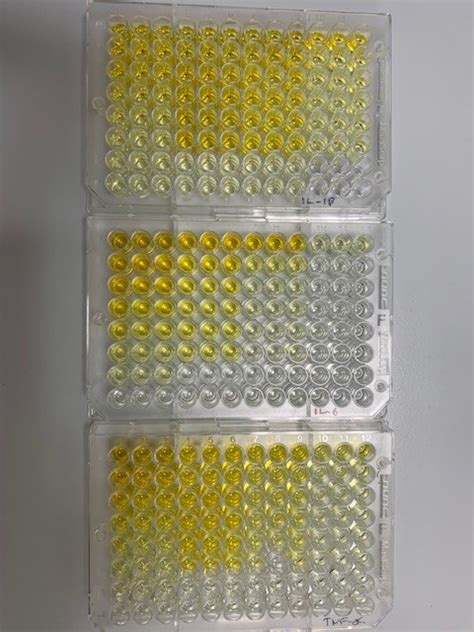 Elisa Plate Yellow