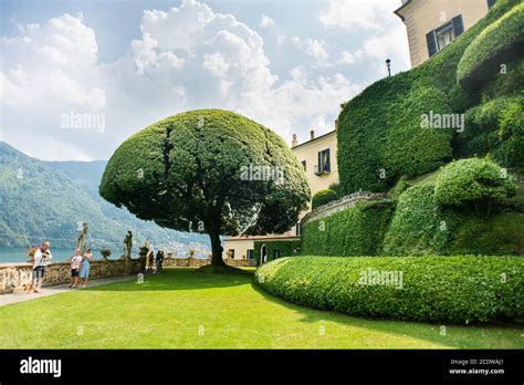 Villa Balbianello. Lake Como. Italy - July 19, 2019: Famous Tree in ...