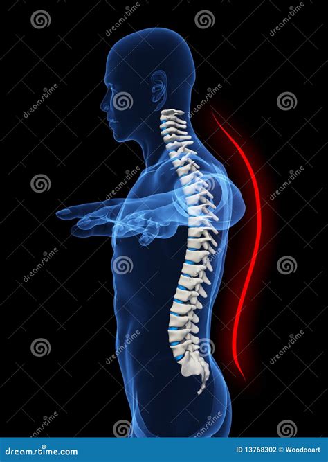 Good posture concept stock photo. Image of neck, good - 13768302