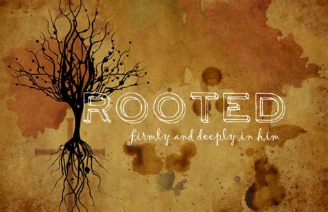 Rooted more deeply and firmly in Christ