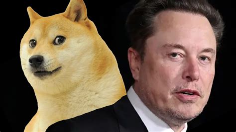 Elon Musk Doge Staffing