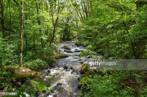 Creuse (River) Photos and Premium High Res Pictures - Getty Images