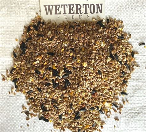 Wild Bird Seed Mixture Feed Food All Seasons” 20kg Free Delivery Ebay