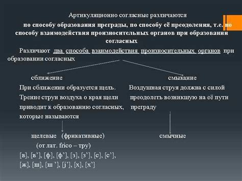ФОНЕТИКА СОСТАВ И СИСТЕМА ЗВУКОВ СОВРЕМЕННОГО РУССКОГО ЯЗЫКА