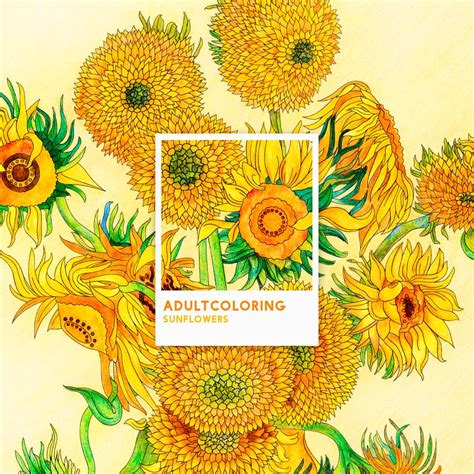 sunflowers   vincent van gogh adult  stock