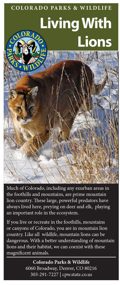 Mountain Lions In Colorado Episode 2 Mountain Lion Habitat And Human